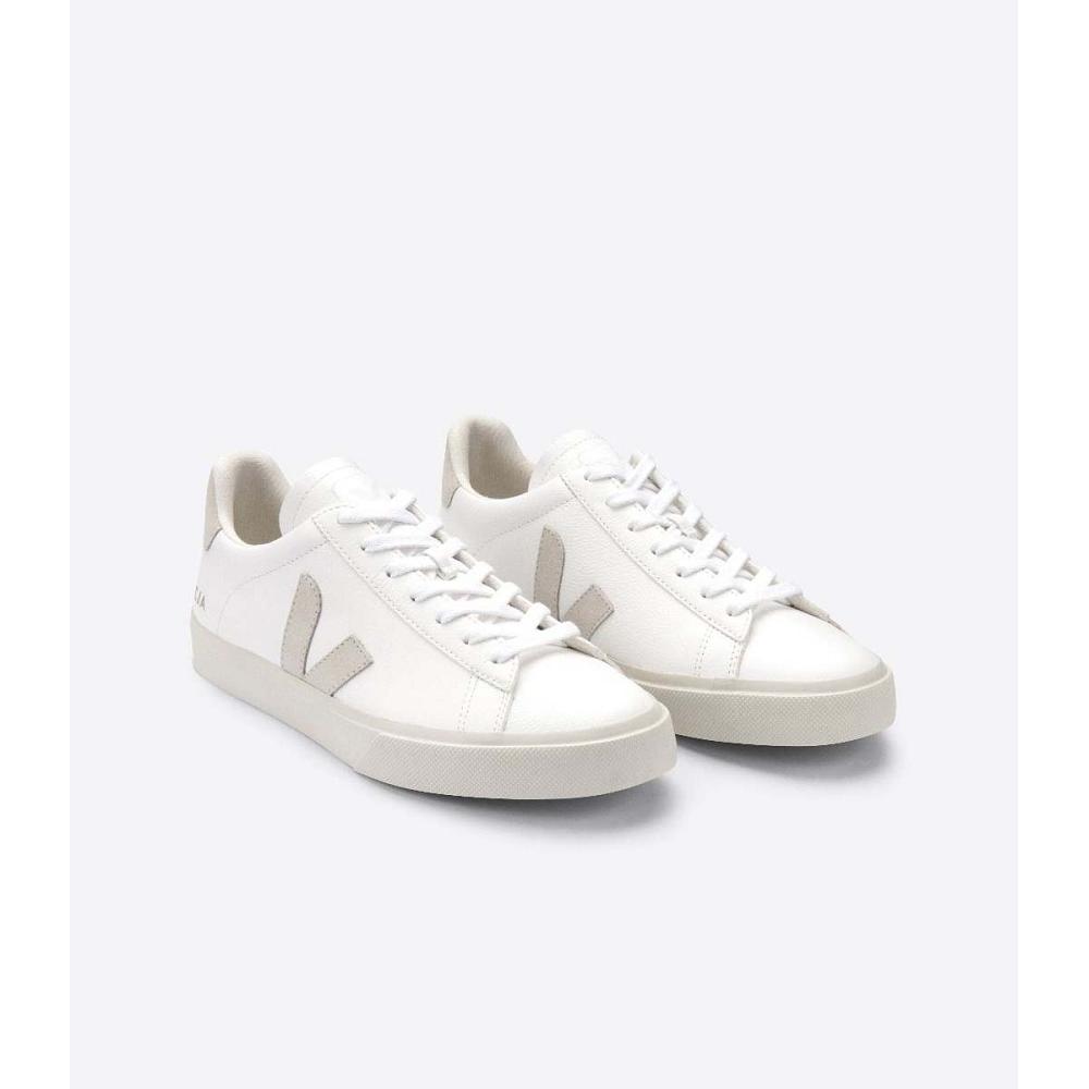 Veja CAMPO CHROMEFREE Men's Low Tops Sneakers White/Beige | NZ 203KOR